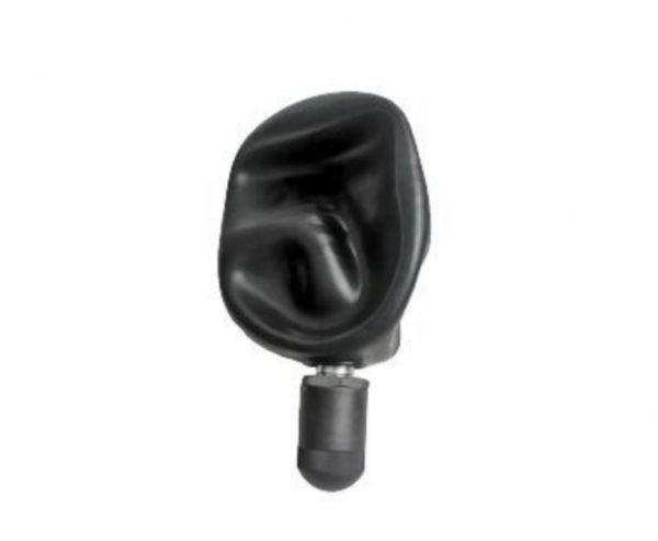 064020000 Vejiga (BLADDER)